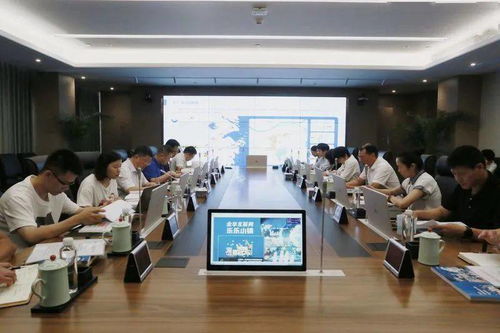 互聯網樂樂小鎮迎來省級初考 數字文化創意軟件開發定位未來三年發展方向